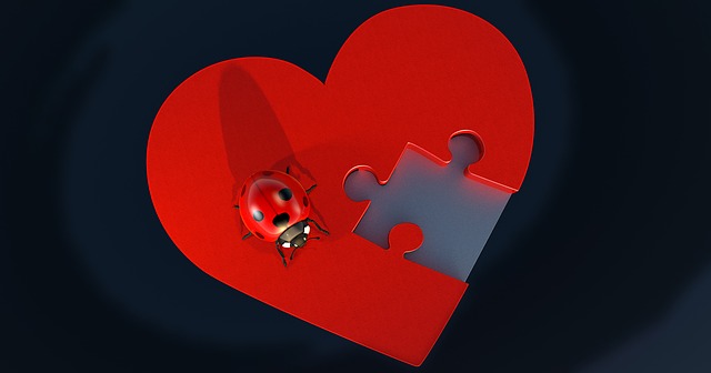 Symbolischer Marienkäfer auf einem Herzpuzzle